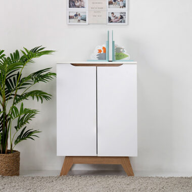Simona 2 Door Shoe Cabinet