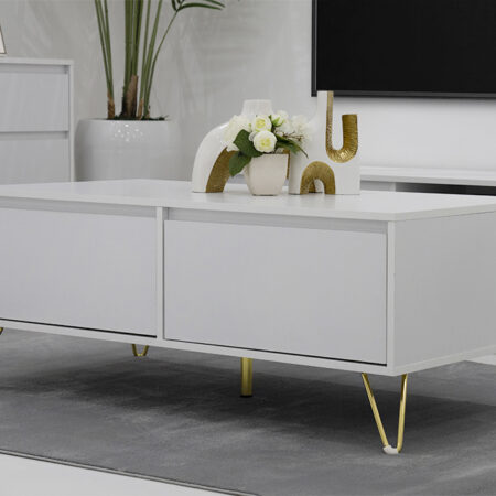 Stellate Coffee Table