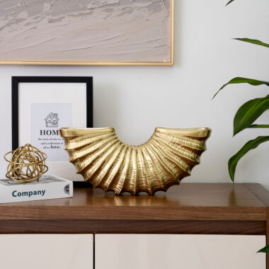 Shell Decor