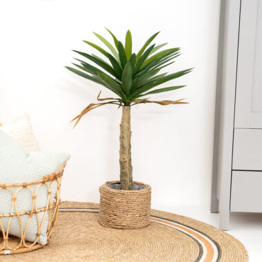 Yucca Plant Decor - 110 cm