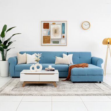 The Raffael Sofa Cum Bed