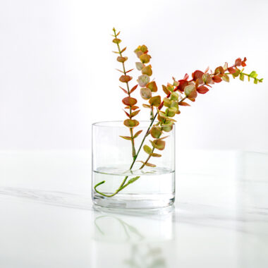 Atlas Clear Glass Cylinder Vase 10X10Cm