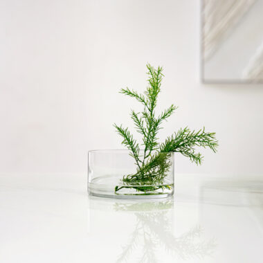 Atlas Clear Glass Cylinder Vase 20X10 Cm