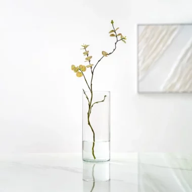 Atlas Clear Glass Cylinder Vase 12X30Cm