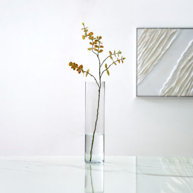 Atlas Clear Glass Cylinder Vase 12X50Cm