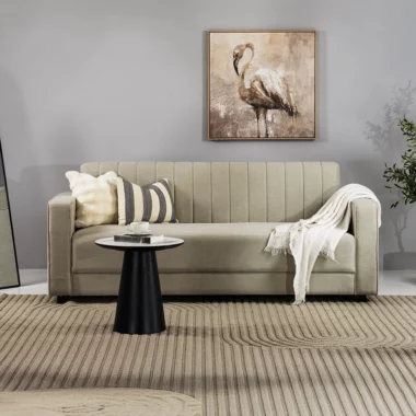 Darren Sofa Cum Bed 3 -Seater