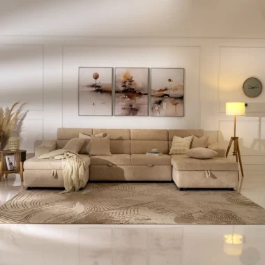Cherish Sofa Cum Bed With Smart Options
