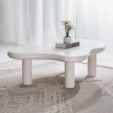 Fujin E Coffee Table