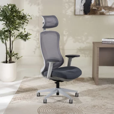 Aguilar Office Chair