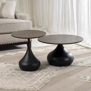 Lupin 2-piece Coffee Table Set