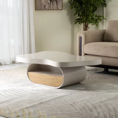 Shinok Coffee Table