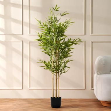 Grevia Bamboo Tree Without Pot -150Cm