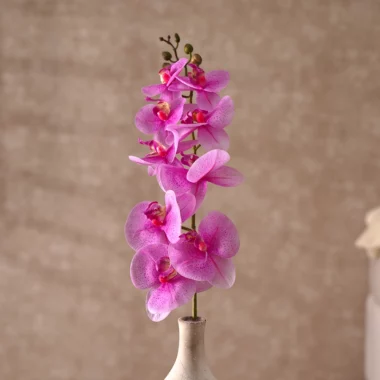 Grevia Orchids Flower Without Vase -Purple 100Cm