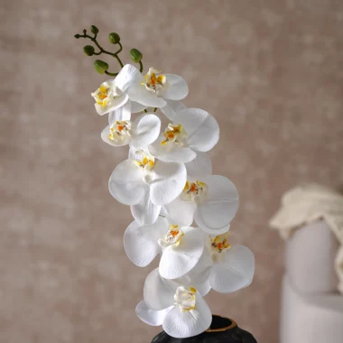 Grevia Orchids Flower Without Vase -White 95Cm