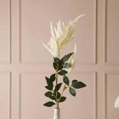 Grevia Pampas Grass Without Vase -White 102cm