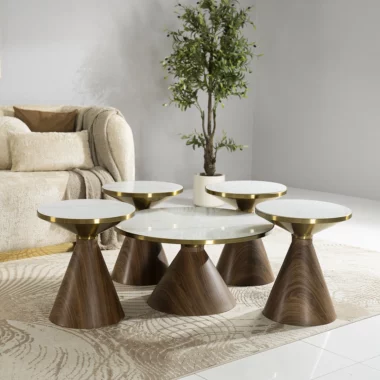 Anna Coffee Table Set Of 5