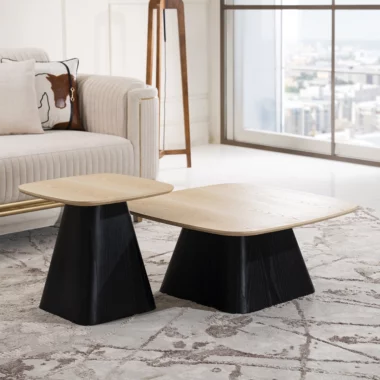 Solena Coffee Table Set Of 2