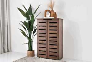 Shoe Cabinet